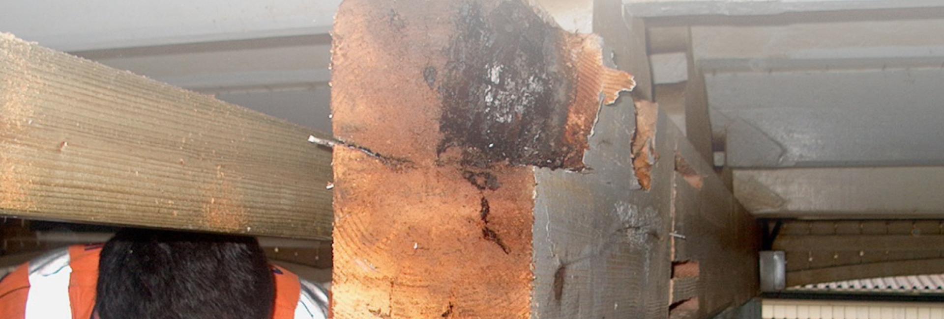 Timber Repair